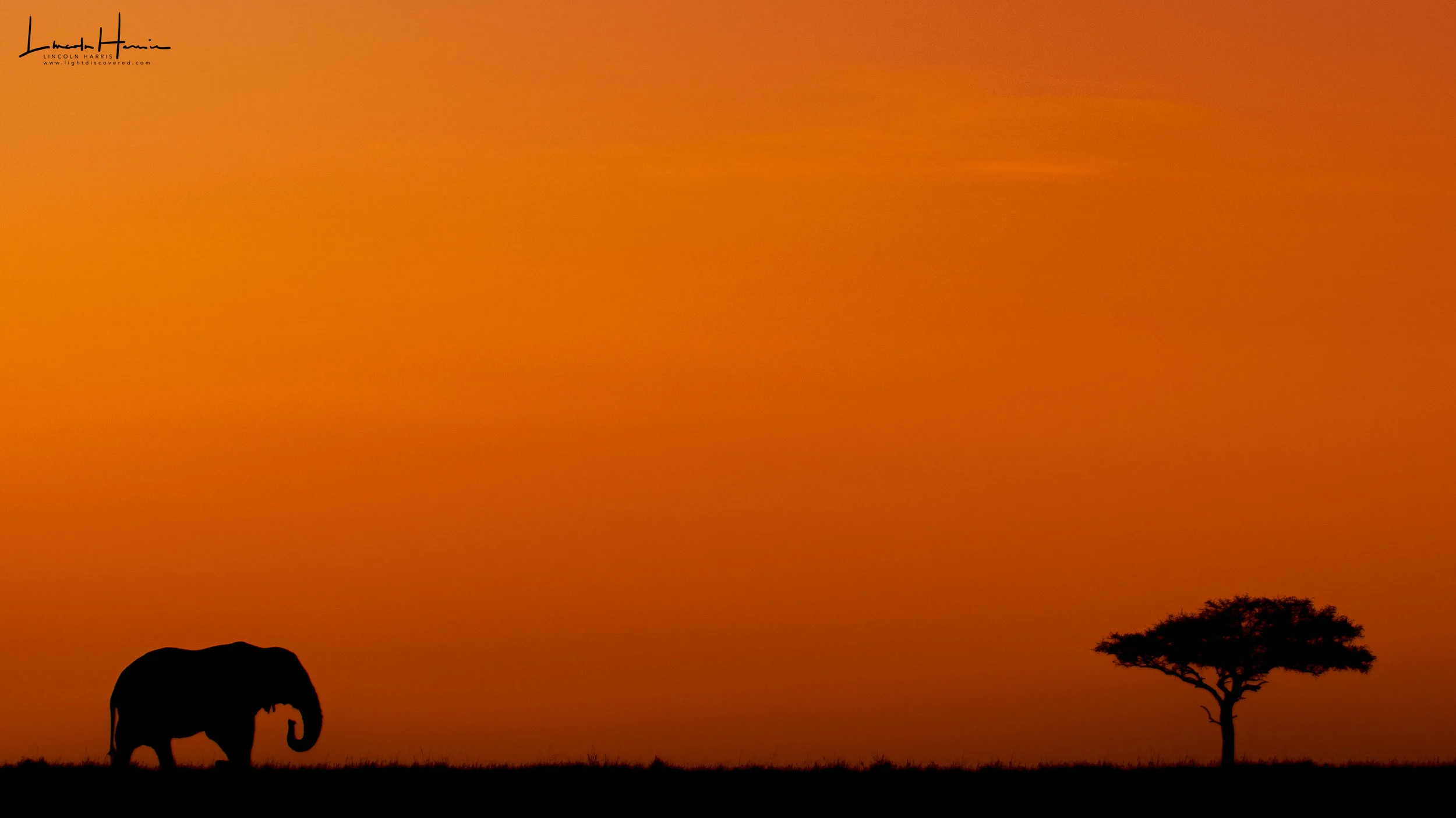 ele at sunset mm 2017.jpg