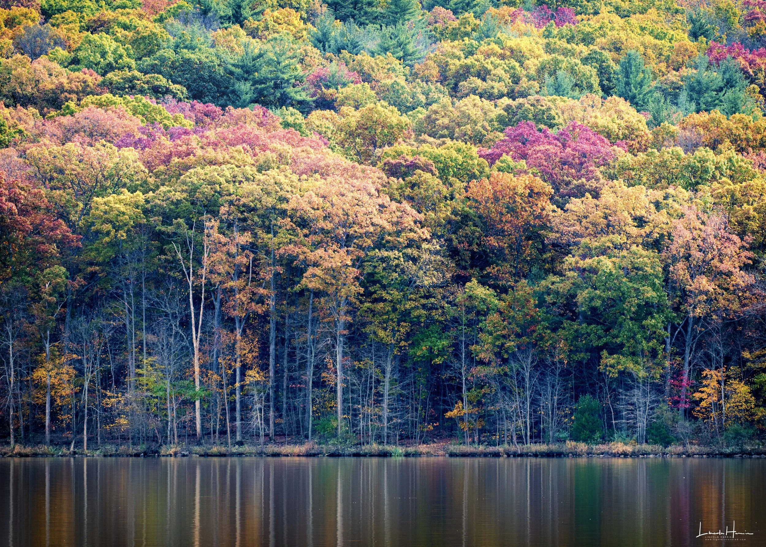 fall foliage reflected for fb.jpg