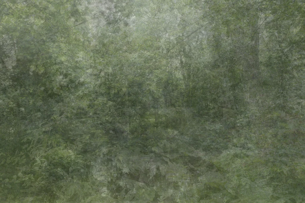 Kim Boske, I Go Walking in Your Landscape
