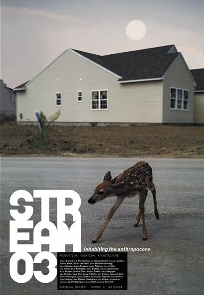 Stream03.jpg