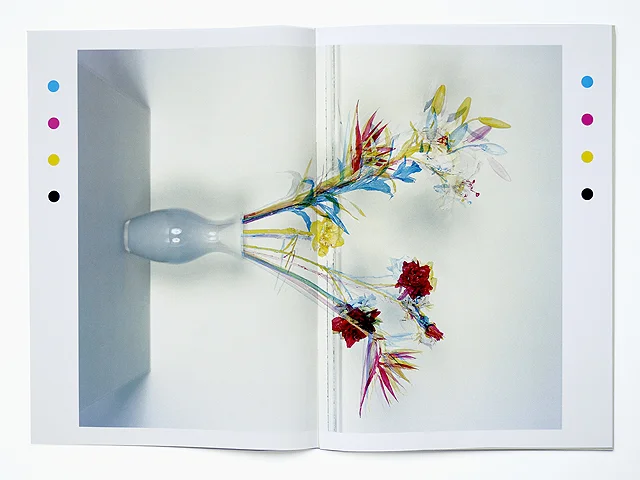 Jaap Scheeren, Fake Flowers in Full Colour