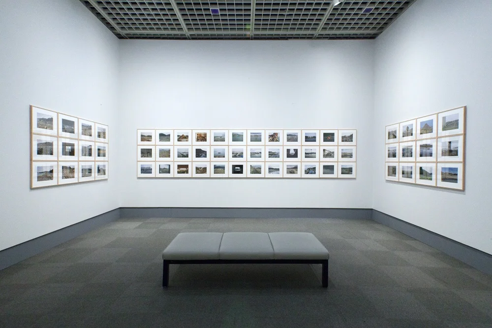Installation view, Natural Stories