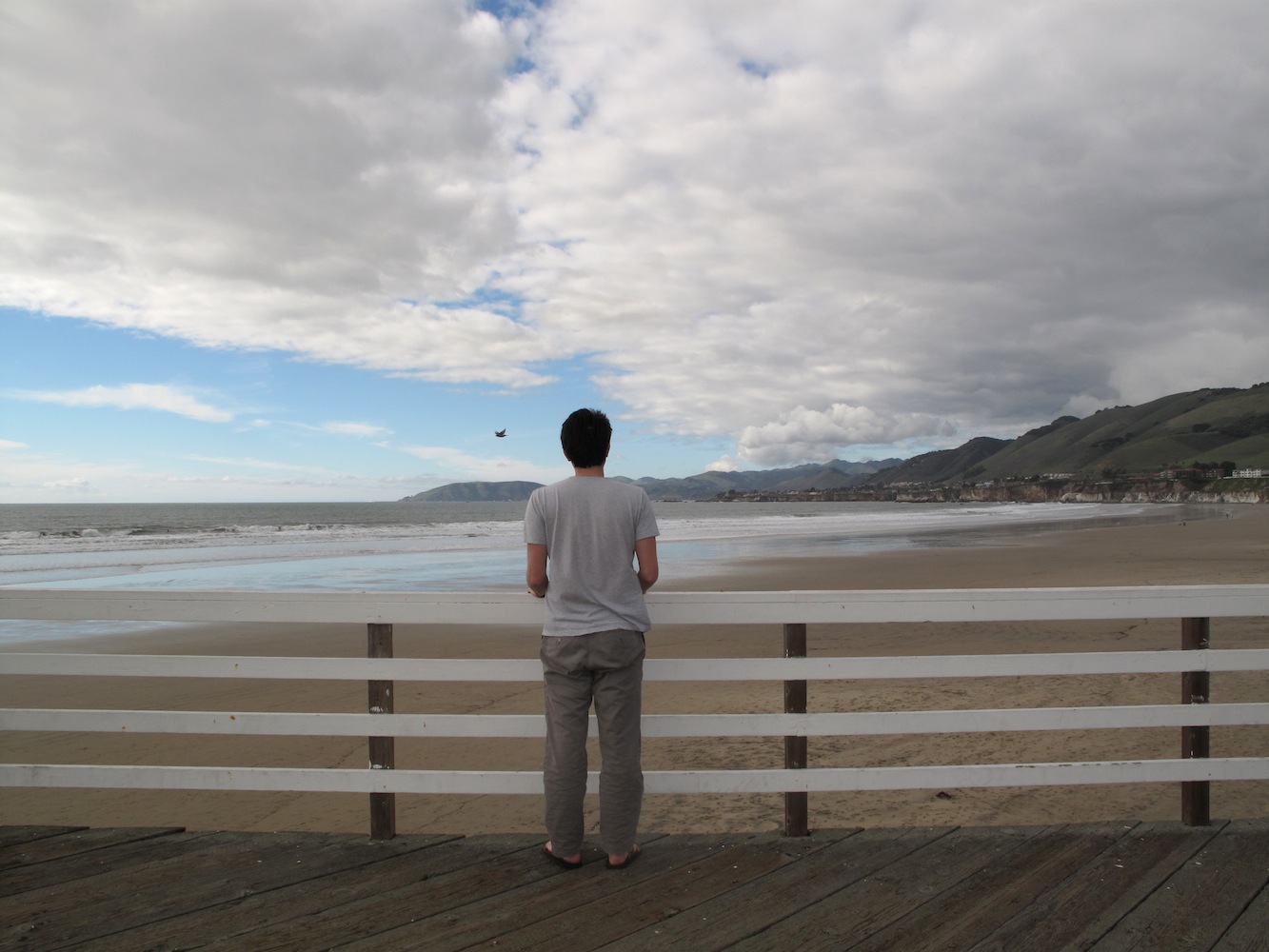 David Horvitz, Public Access (Pismo Beach) , 2011-2014