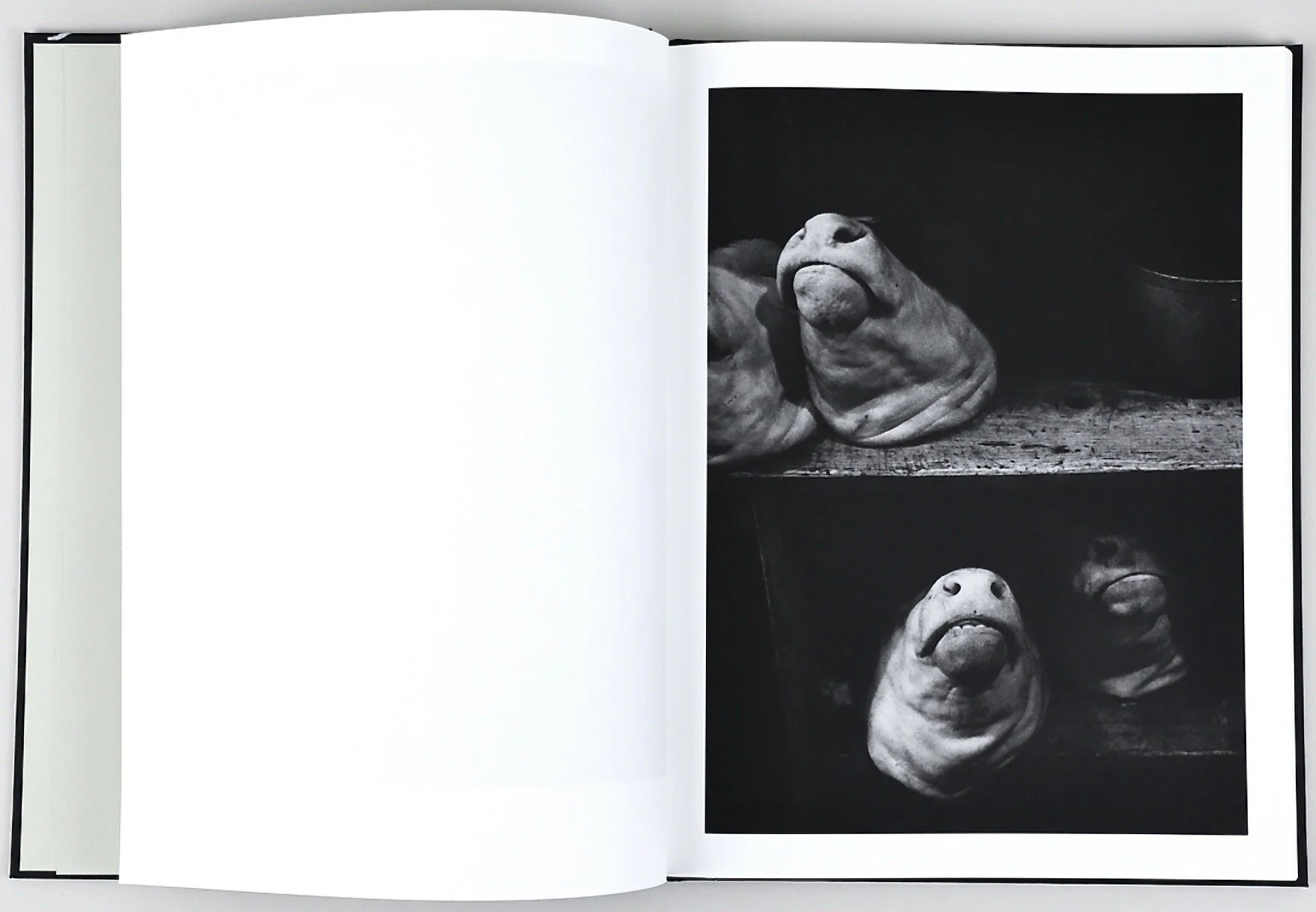 Capture d’écran 2022-10-19 à 09.52.42.jpeg