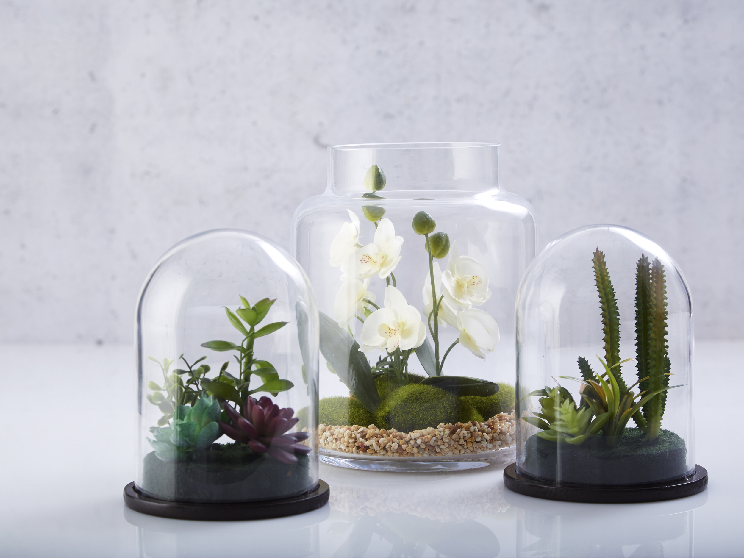 ThreeTerrarium2.jpg