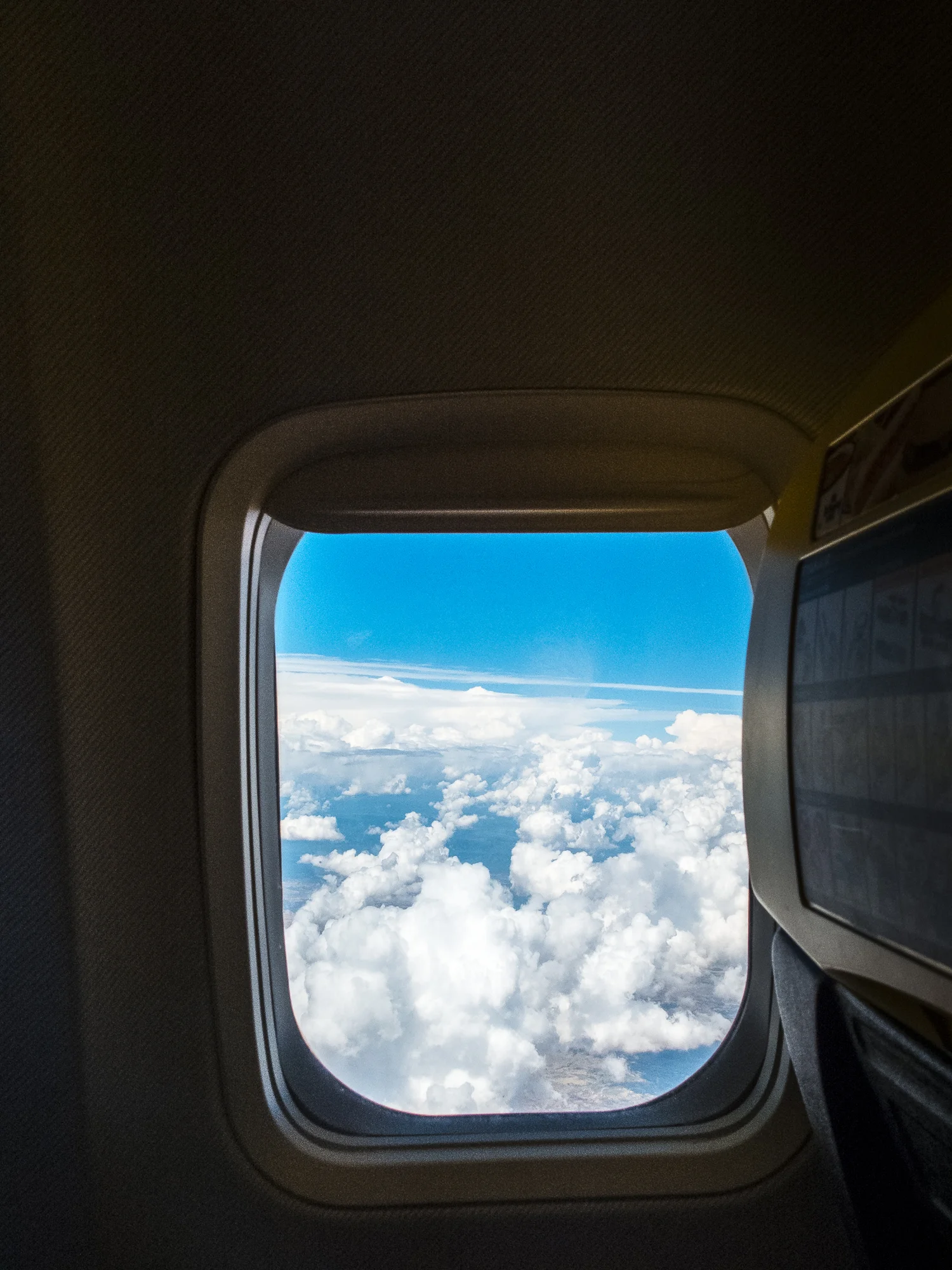DSCF0480.jpg