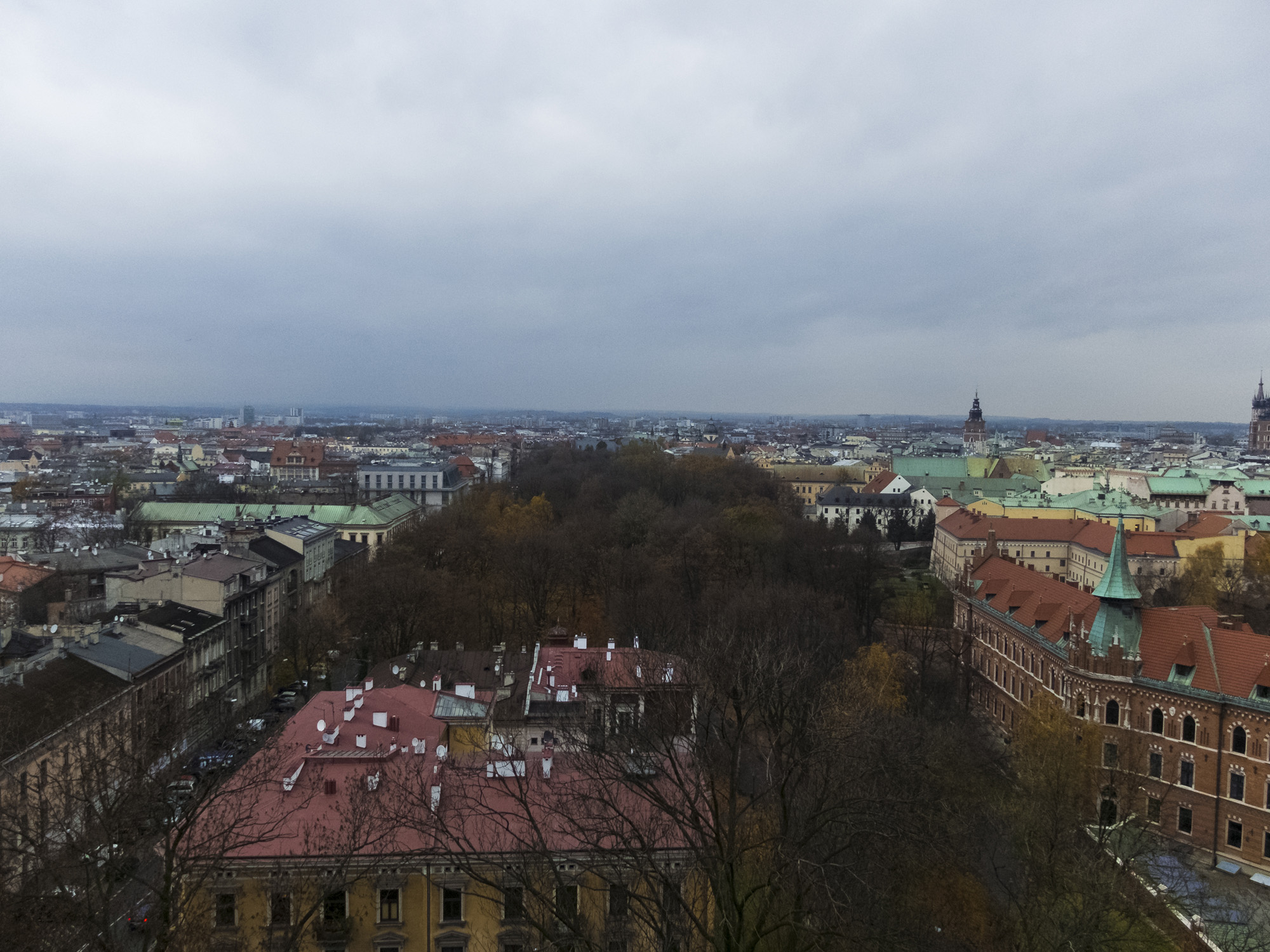 S0869101.jpg