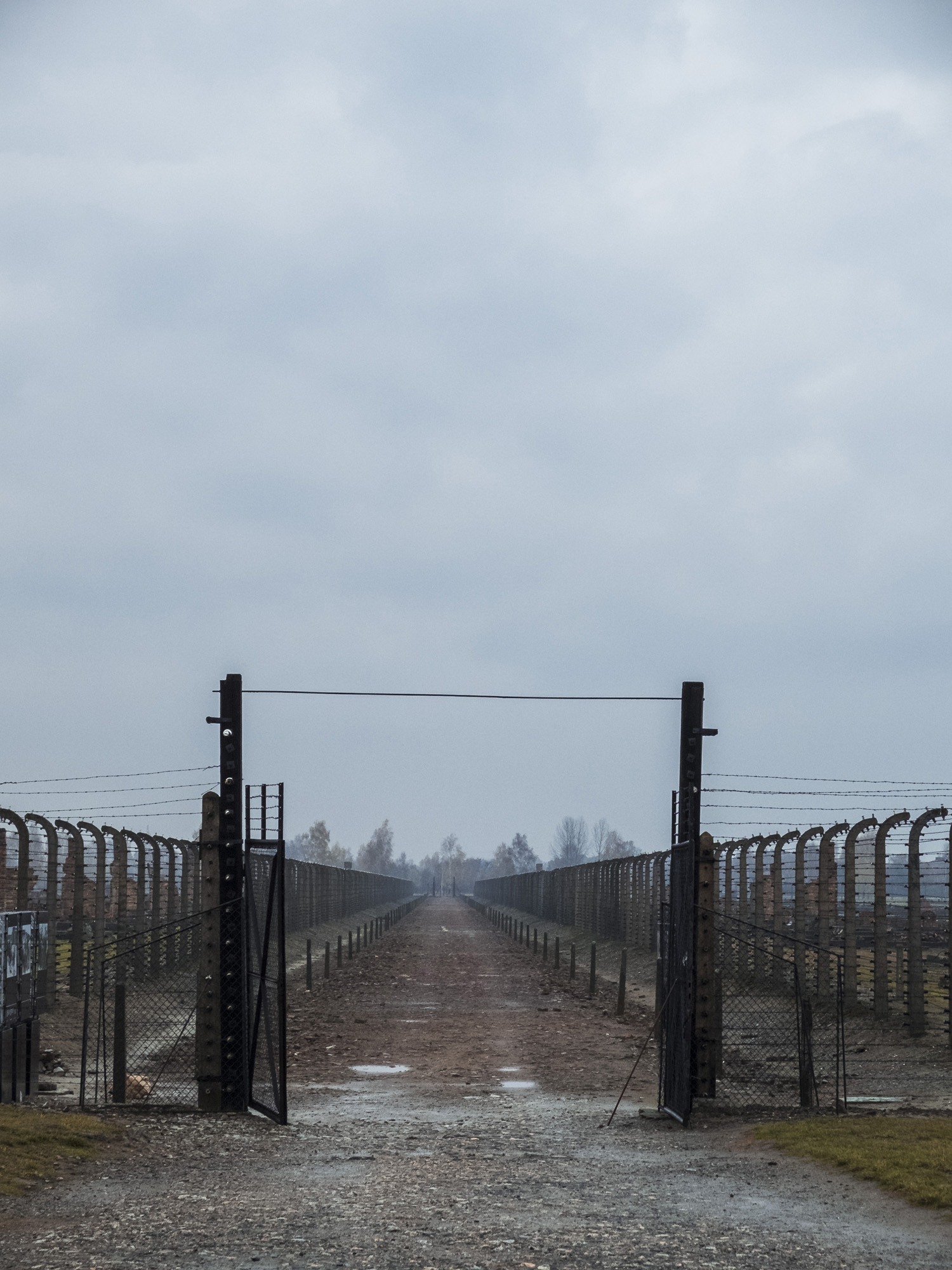 S0988154.jpg