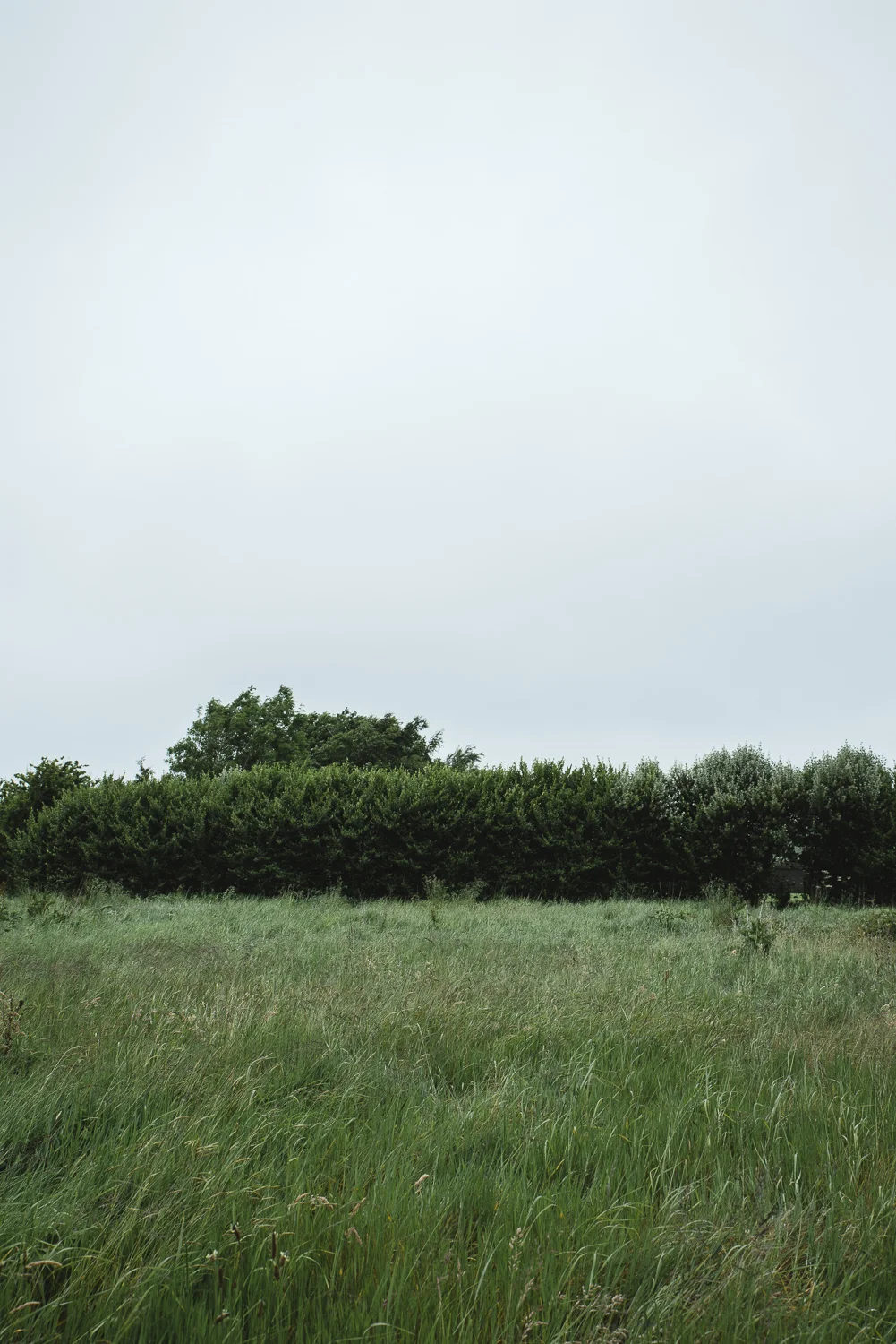 JA_Small-2904.jpg