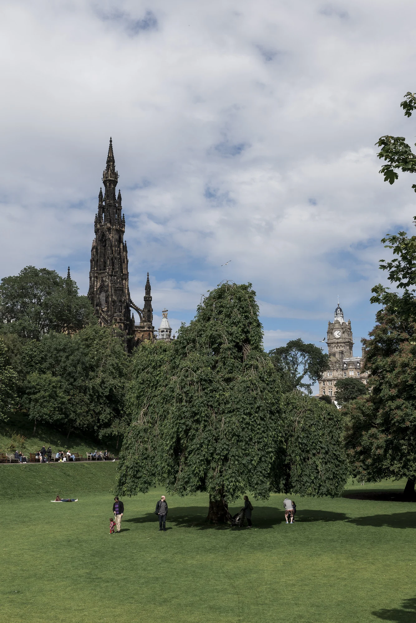 DSC_5229.jpg