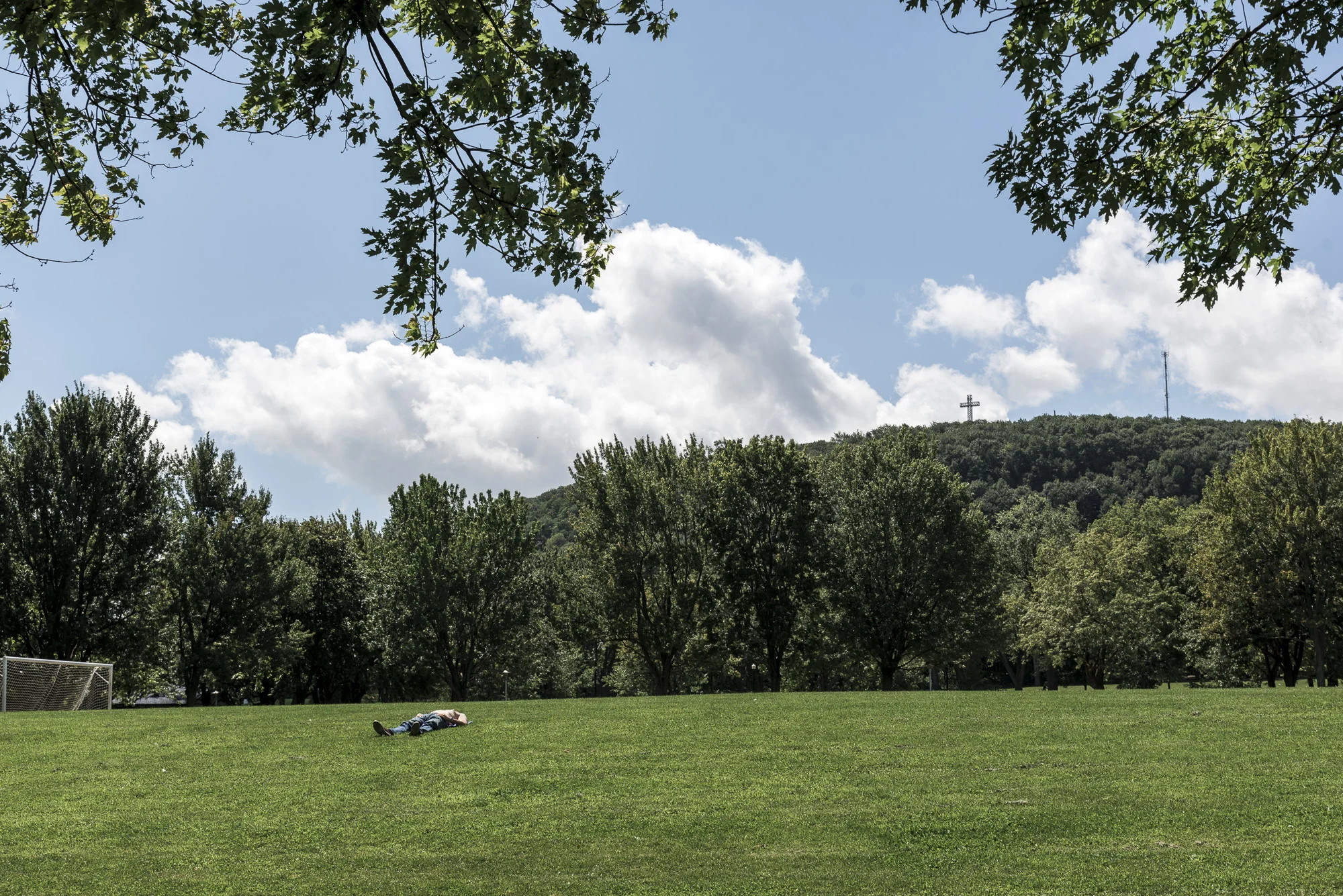 DSC_6275.jpg