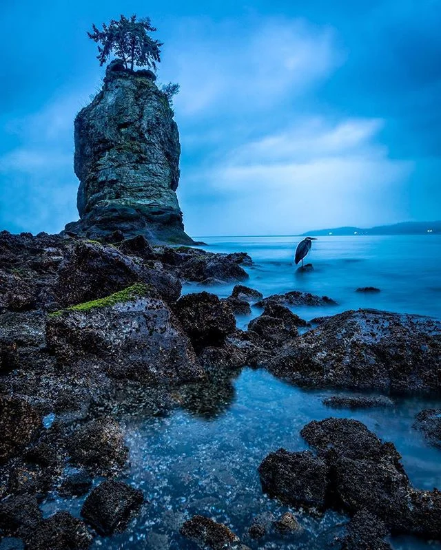 Hanging out my new heron friend at Siwash Rock or Slhxi7ish last night. Long walk to get here and when I arrived the rain started bucketing down. I got lucky though as it ended up only being a shower which gave me an hour or so to shoot. There wasn&r