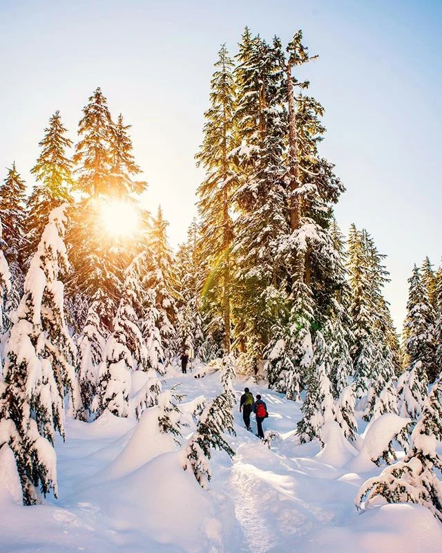 Looking forward to getting back up to @mtseymour with some skis on my feet this time. Snowshoeing is cool but sometimes you have to go uphill and I&rsquo;m much more built for going downhill 😉 Weather seems to be getting better here too so hopefully