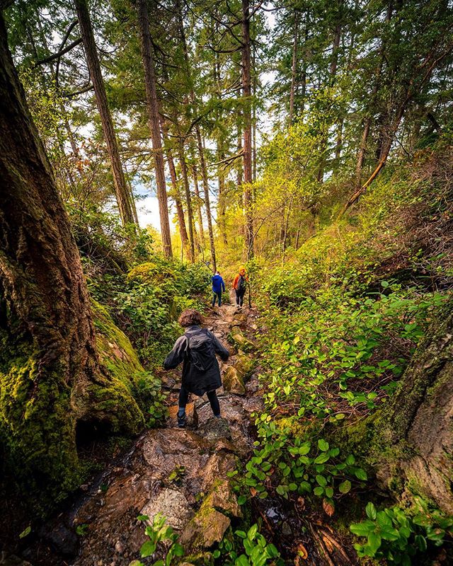 We walked around lighthouse park last Sunday while the weather was good. It was very wet on the ground, the steps in this shot had water pretty heavily flowing down them, but refreshing to get out and explore somewhere new. Great spot to spend the da