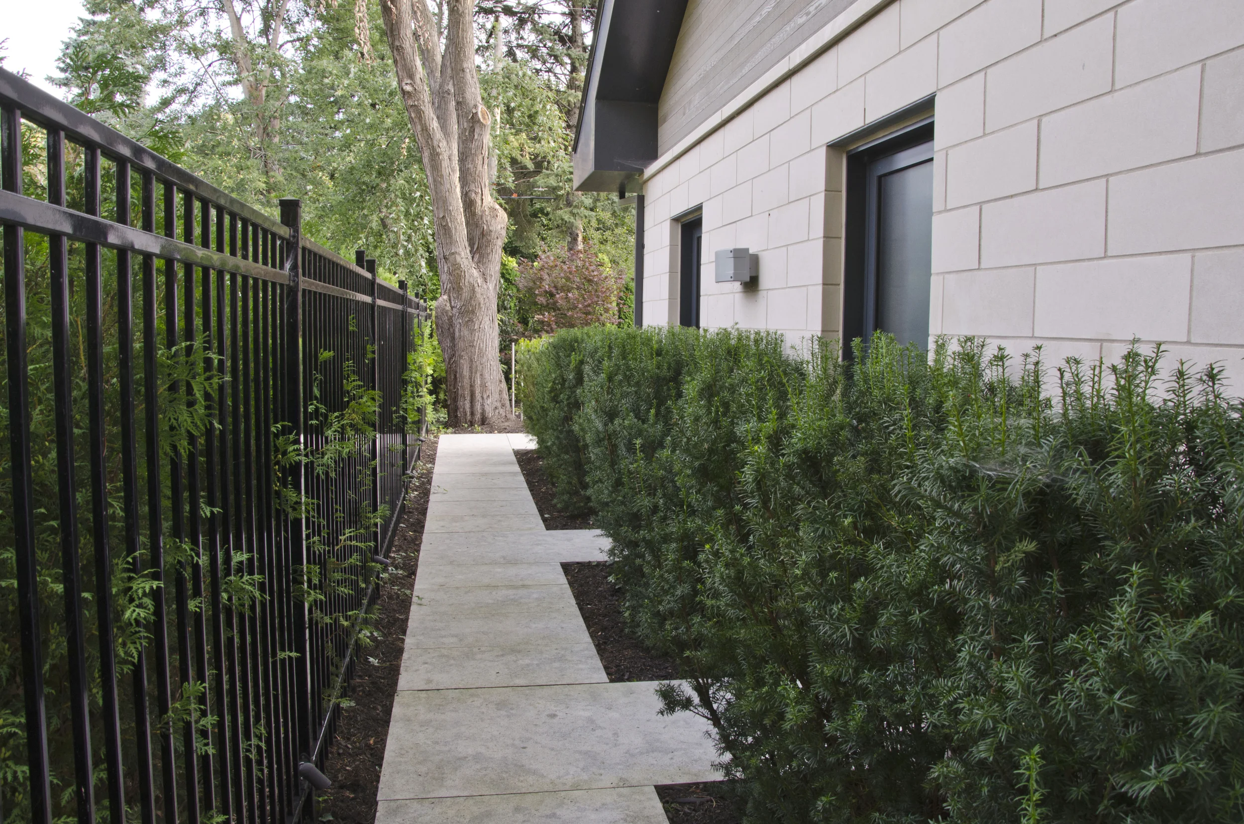 04-Sentier taxus.jpg