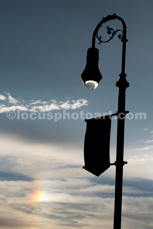 Sundog_with_Lampost_2884.jpg