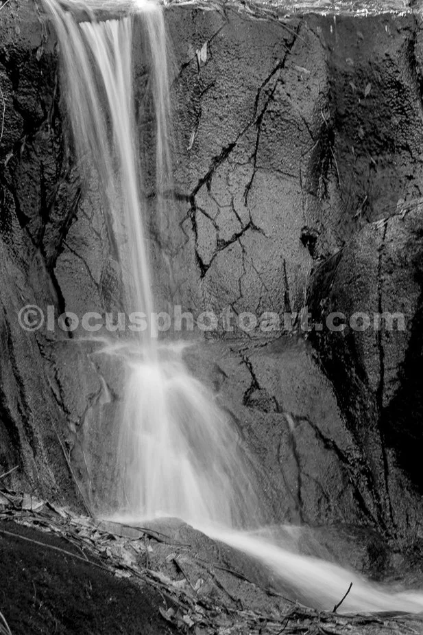 J23_Zoo_Falls_5578_BW.jpg