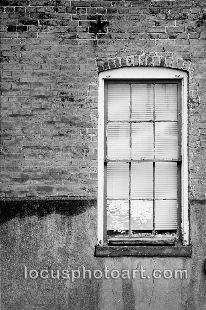 Green & White Window 9546 BW FB.jpg
