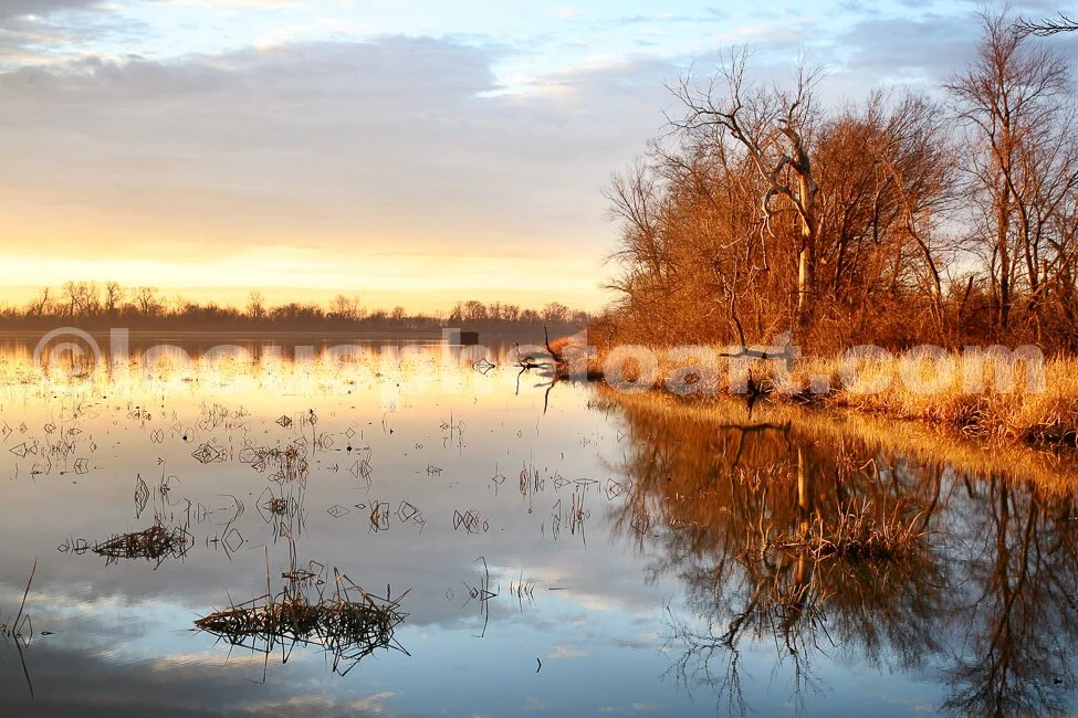 M16_Wetland_Sunrise_6356.jpg