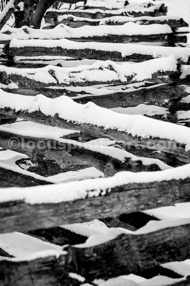 J21_Snow_on_the_Split_Rail_Fence_4068_BW.jpg