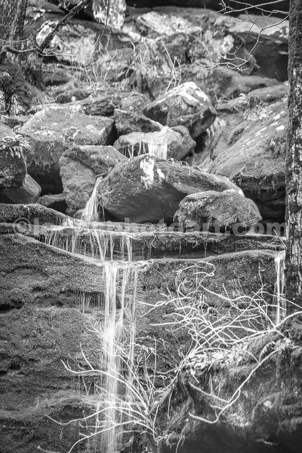 J21_Moss_Covered_Waterfall_4145_BW.jpg