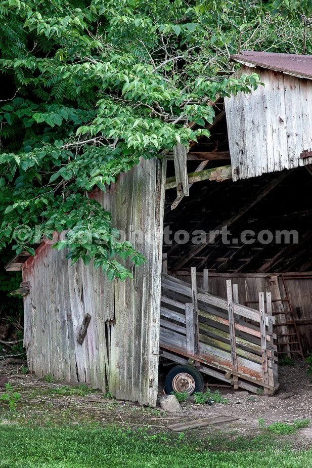 J24_Cattle_Ramp_in_the_Shed_9537.jpg