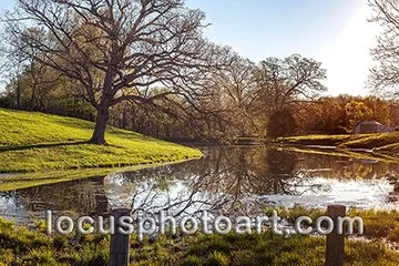 WEB J19 Easter Morning on the Farm 8915.jpg