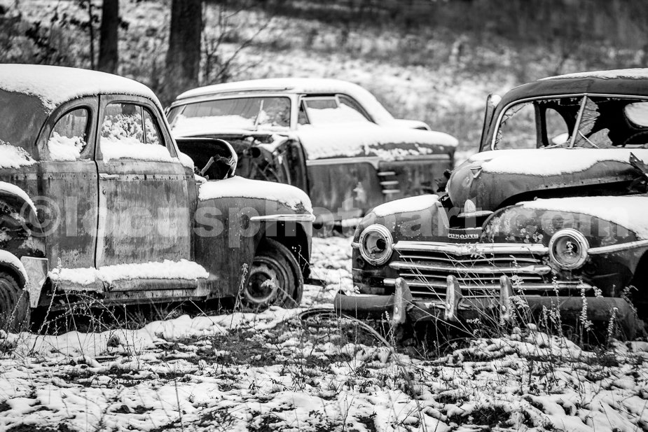 J21_Three_in_the_Snow_3784_BW.jpg