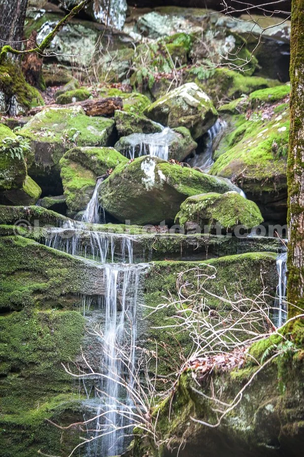 J21_Moss_Covered_Waterfall_4145.jpg
