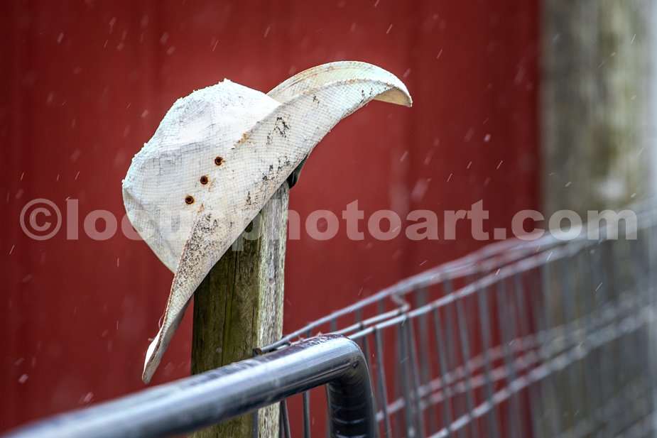 J23_Hat_on_Fencepost_in_Snow_2216.jpg