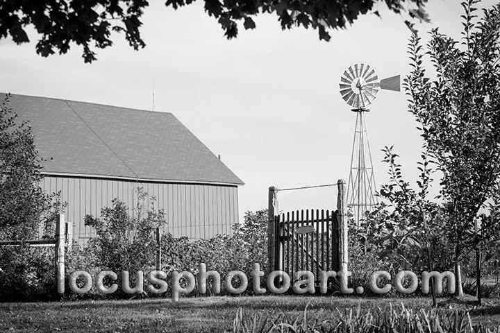 Garden Gate 7703 BW FB.jpg