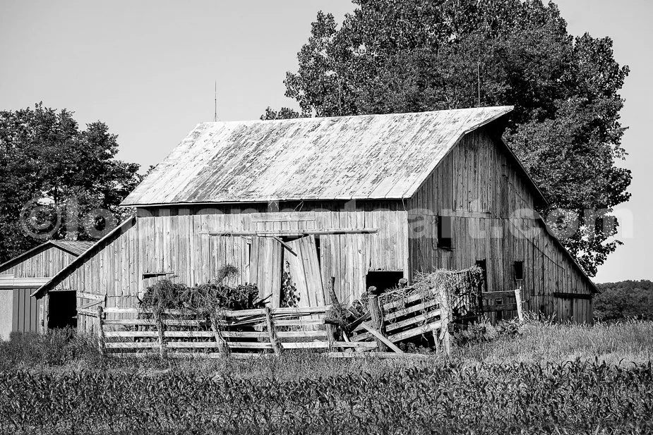 J18_Barn_in_Decline_0308_BW.jpg