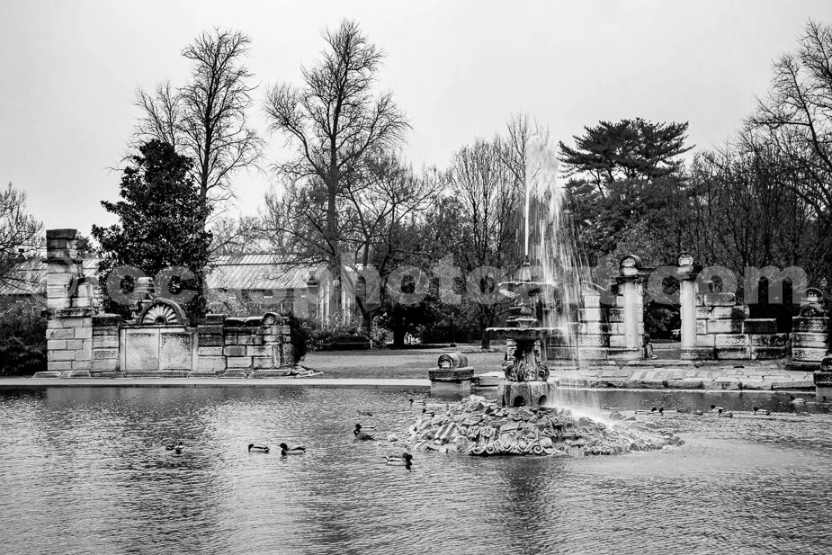 J24_Ducks_and_Fountain_at_Tower_Grove_2986_BW.jpg