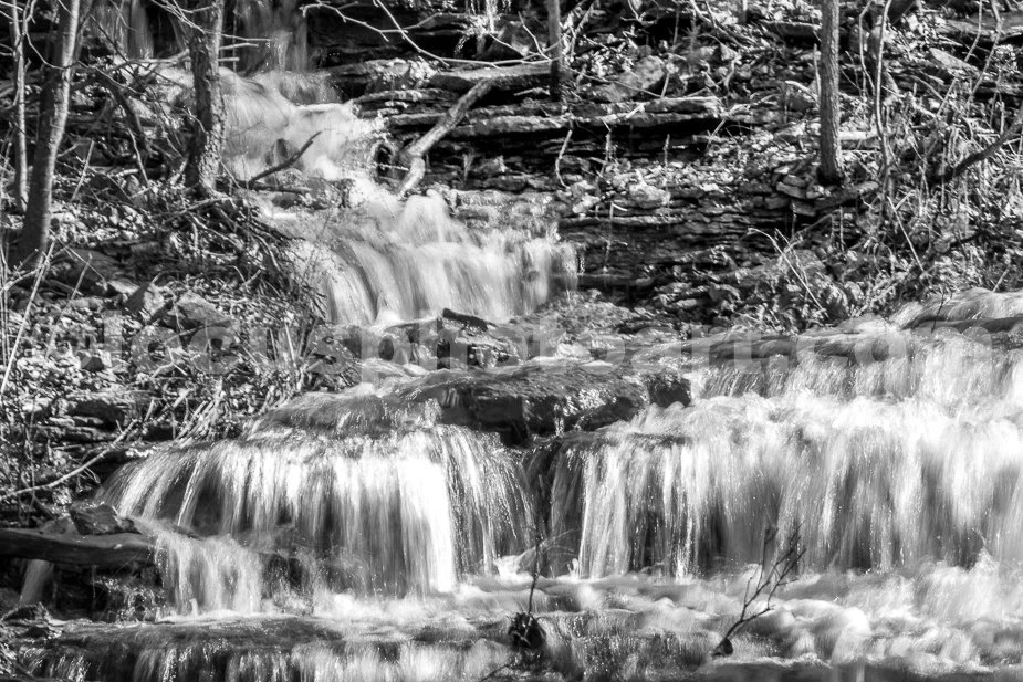 J21_Pine_Forest_Waterfall_9602_BW.jpg