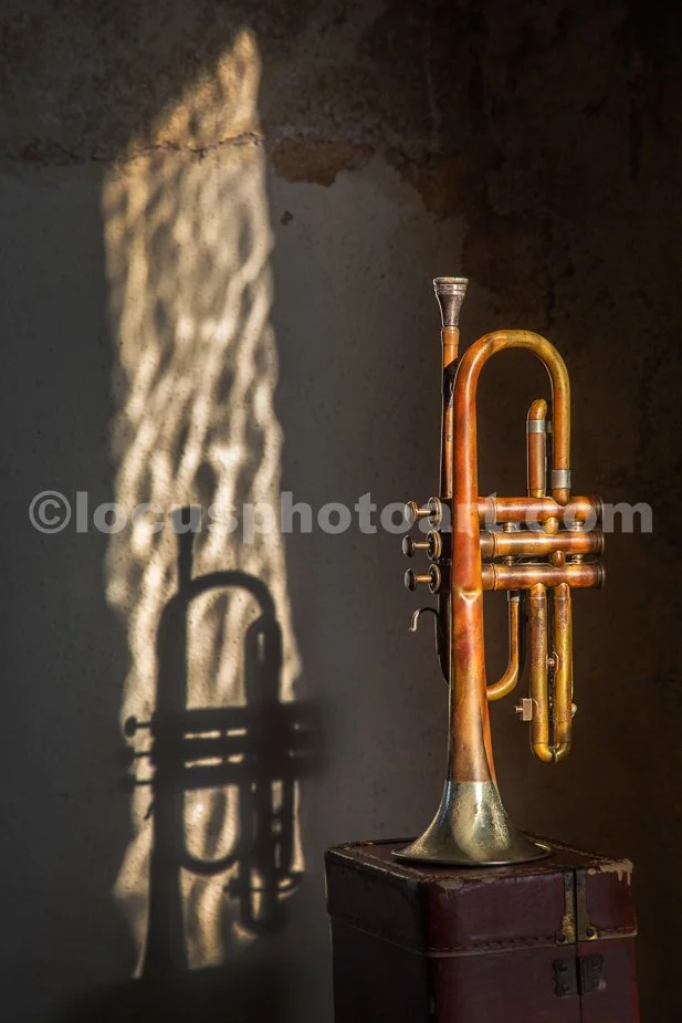 J23_Cornet_by_Window_Light_0224.jpg