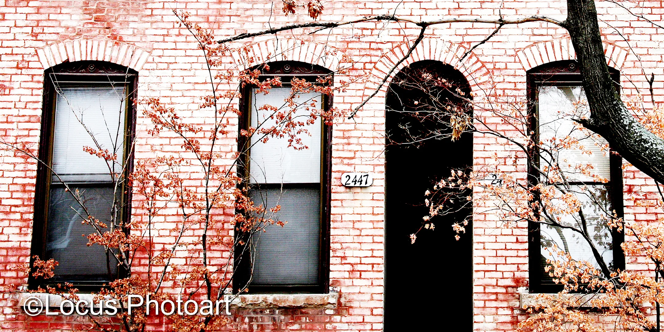 WS Banner Urban Abstract 9125 HiC web.jpg