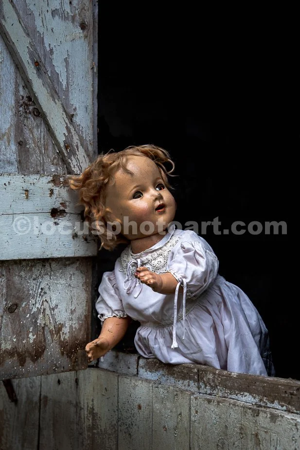 J23_Baby_Wants_Out_3963.jpg