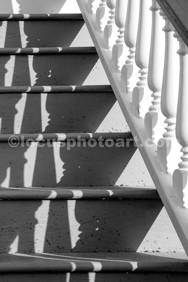 M16_Railings_Shadows_0351_BW.jpg