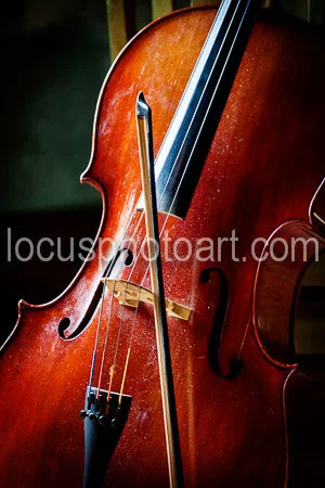 J19_Cello_and_Bow_Up_Close_0149.jpg