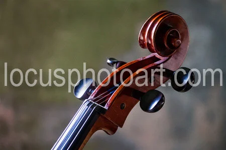 J19_Cello_Scroll_0145.jpg