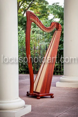 J19_Harp_and_Columns_0632.jpg