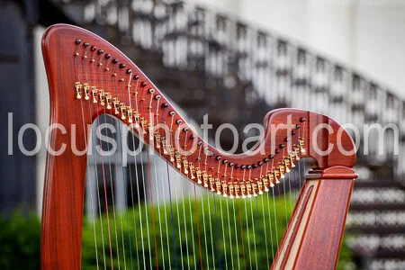 J19_Harp_and_Staircase_0548.jpg