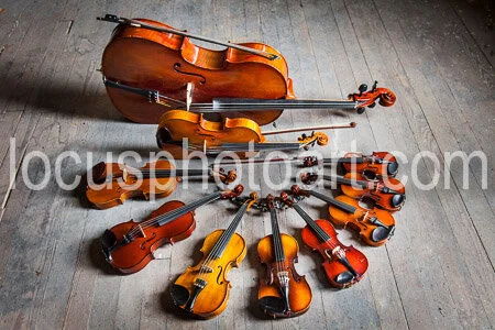 J19_String_Arrangement_0335.jpg