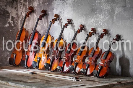 J19_Violins_All_in_a_Row_0281.jpg