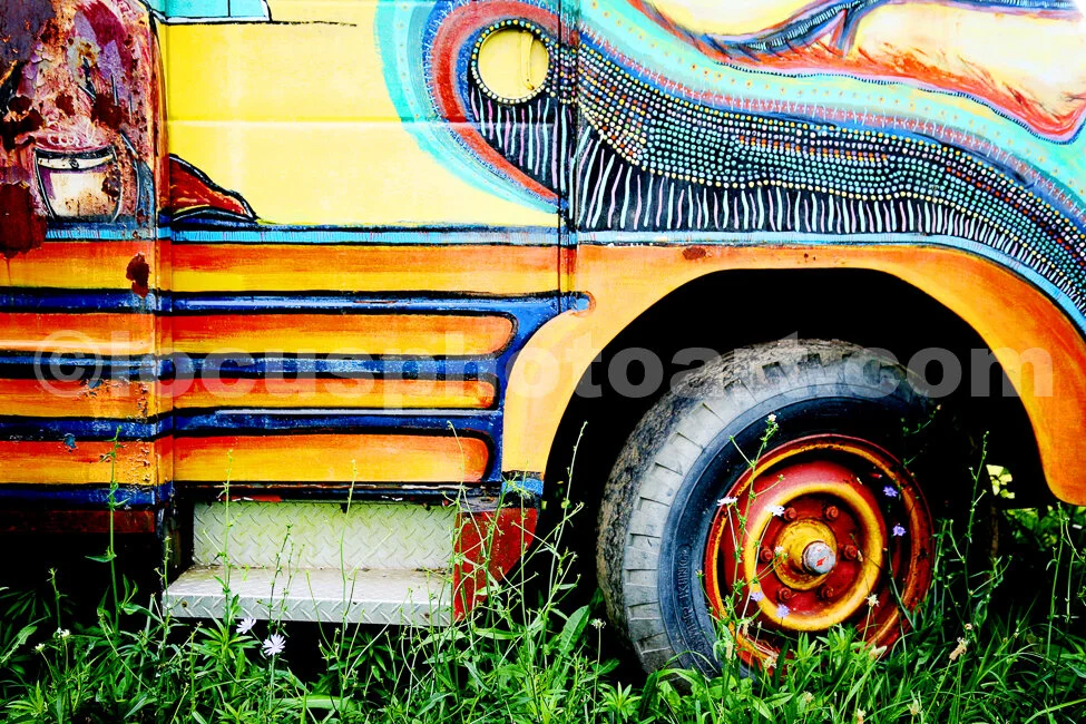 J15_Hippie_Bus_8205_Hi-C.jpg