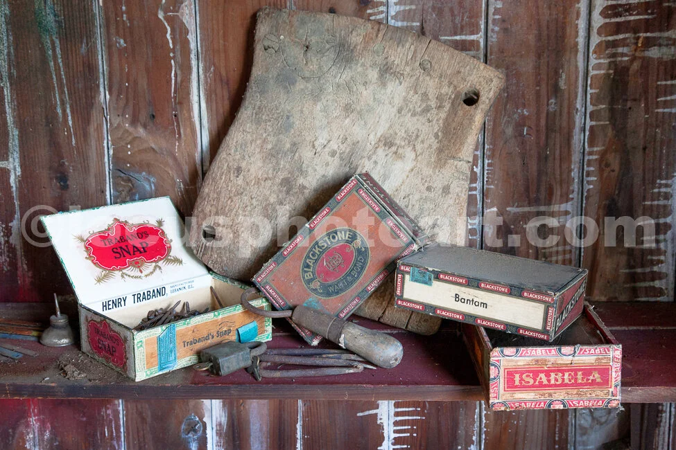 J16_Still_Life_on_the_Shed_Shelf_3059.jpg