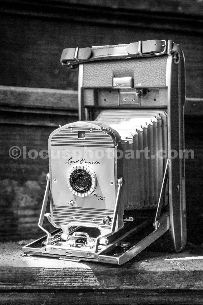 J17_Three_Steps_to_Better_Photos_3159_BW.jpg