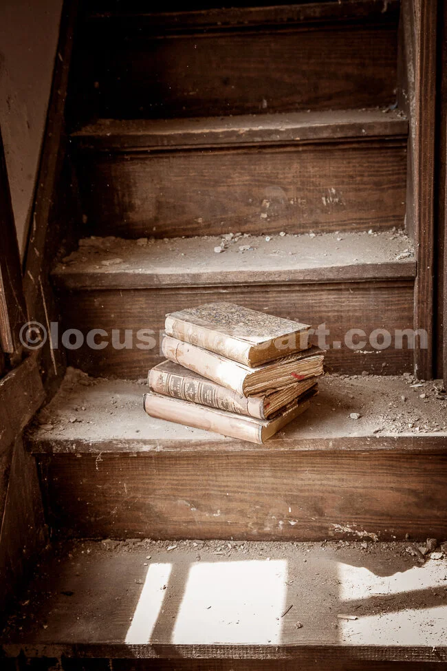 M17_Books_on_Stairs_8478_LSSepia.jpg