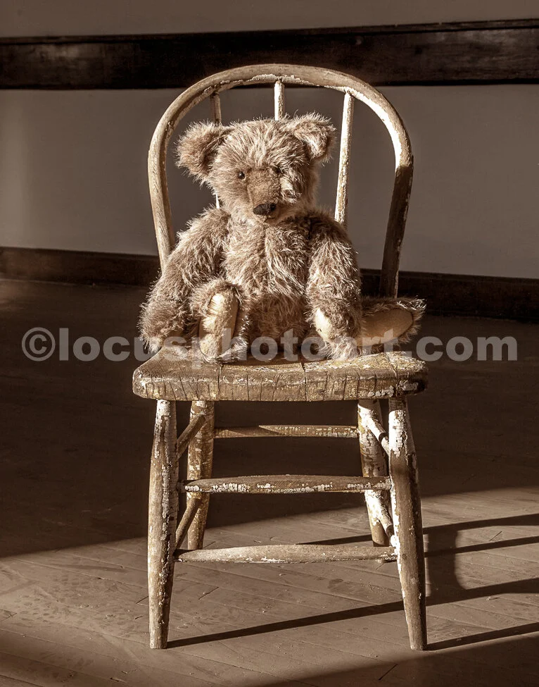 M17_Pappa_Bear_8164_LSSepia.jpg