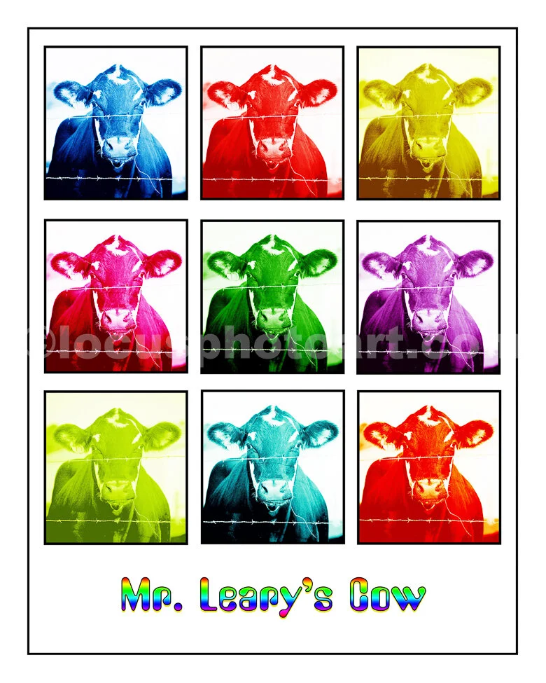 J15_Mr_Learys_Cow.jpg